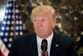 Portal 180 - Supremacistas blancos vs militantes antirracismo: Trump ve “culpa de ambas partes”