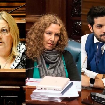 Primer paso en el Senado para la descentralización de la Defensa Pública