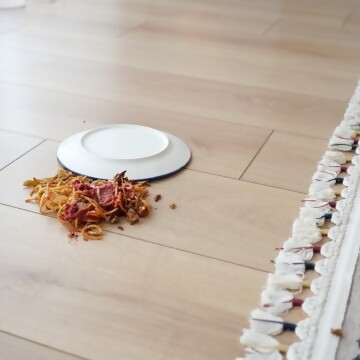 La regla de los 3 segundos, ¿mito o realidad?