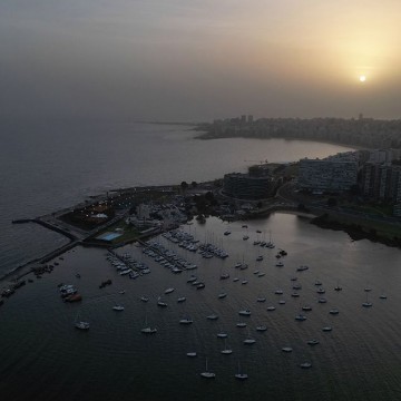 Darwin lee los consejos ante la nube de polvo. Darwin lee los consejos ante la nube de polvo.
