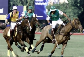 Portal 180 - Por ejemplo: Polo