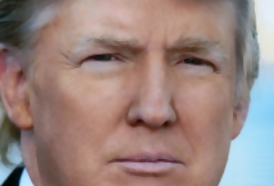 Portal 180 - realDonaldTrump
