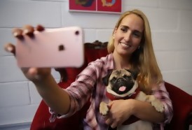 Portal 180 - El pug, último accesorio de moda en Reino Unido