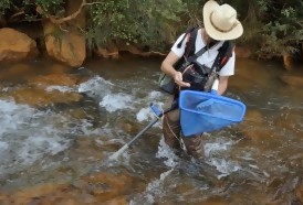 Portal 180 - UdelaR impugna decreto de Ley de Pesca que “censura la investigación”