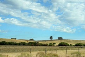 Portal 180 - El 70% de la economía uruguaya para por el clima y su estudio “debería estar más desarrollado”