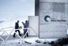 Portal 180 - El “Arca de Noé vegetal” supera el millón de variedades