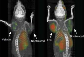 Portal 180 - Experimento en cáncer ilusiona por innovación y resultados