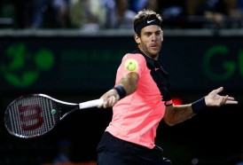 Portal 180 - Del Potro vence a Raonic y pasa a semis en Miami
