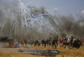 Portal 180 - Palestinos piden frenar “la horrible masacre en Gaza”