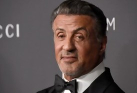 Portal 180 - Sylvester Stallone bajo investigación por agresión sexual
