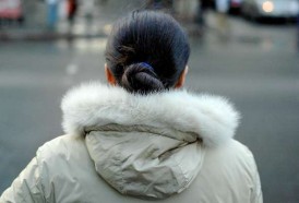 Portal 180 - Este invierno sería más cálido que el promedio