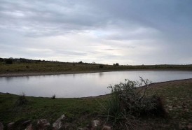 Portal 180 - Entre “muy difícil” e imposible, el margen de control ambiental de la Ley de Riego