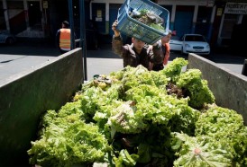 Portal 180 - Frío impacta en la oferta y provoca suba en precios de frutas y hortalizas