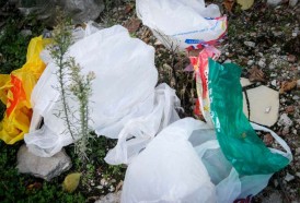 Portal 180 - Senado aprobaría ley de bolsas plásticas