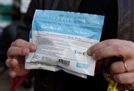 Portal 180 - Consumidores de marihuana en farmacias superan los 25.000