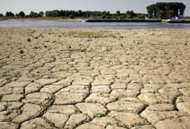 Portal 180 - La Tierra en riesgo de caer en un irreversible estado “invernadero”