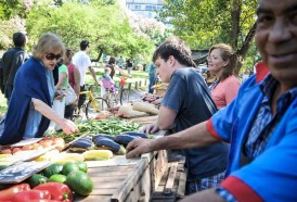 Portal 180 - Julio marcó una suba promedio de 20% anual en las frutas y verduras