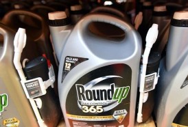 Portal 180 - Monsanto, nombre controvertido y multinacional floreciente