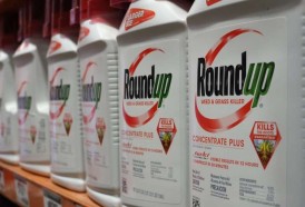Portal 180 - Corte de EEUU confirma condena contra Monsanto por efectos del glifosato