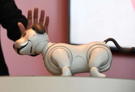 Portal 180 - Sony venderá su mascota con inteligencia artificial en EE.UU.