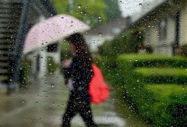 Portal 180 - Todos los modelos conducen a El Niño