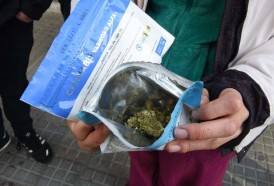 Portal 180 - Farmacias vendieron más de 1.200 kilos de marihuana desde julio de 2017