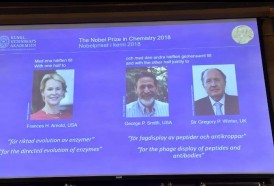 Portal 180 - Nobel de Química a científicos que replicaron “los principios de Darwin en probeta”