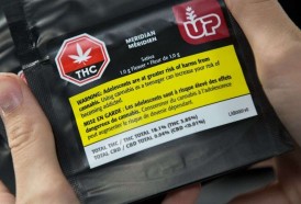 Portal 180 - Con THC libre y 30 gramos como límite de tenencia, Canadá legaliza cannabis recreativo