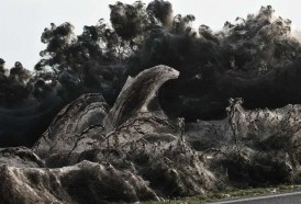Portal 180 - Un lago en Grecia fue recubierto por una gigantesca telaraña