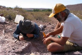 Portal 180 - Hallan en Argentina restos de una nueva especie de dinosaurio saurópodo