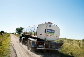 Portal 180 - Lecheros emplazan al gobierno por crisis en el sector