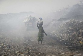 Portal 180 - El Acuerdo de París ya está en marcha pero lejos de la urgencia climática