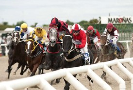 Portal 180 - A las 20:30 se corre el tradicional Gran Premio Ramírez en Maroñas