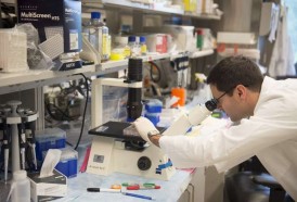 Portal 180 - Inteligencia artificial mejor que los médicos en encontrar precánceres de cuello uterino
