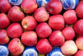 Portal 180 - Llegaron las manzanas y bajaron los precios en el Mercado Modelo