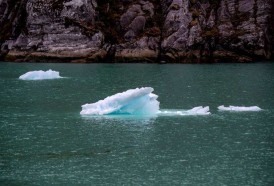 Portal 180 - Las catástrofes climáticas, entre las primeras preocupaciones en Davos