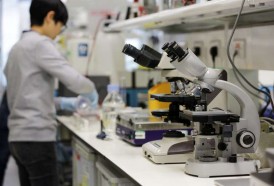 Portal 180 - Algunas bacterias podrían jugar un papel en la depresión, según un estudio