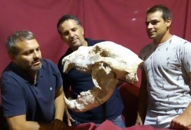 Portal 180 - Hallan fósiles de un oso gigante que vivió hace 700 mil años en Argentina