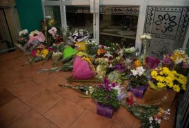 Portal 180 - Nueva Zelanda conmocionada por atentados en mezquitas
