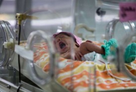 Portal 180 - Pereira Rossell cerró 2018 sin ningún caso de muerte materna