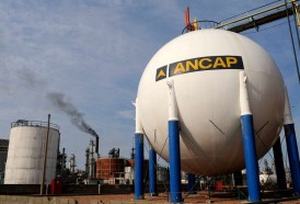Portal 180 - ANCAP confirmó compra de 12 sillas por 1.111.571 pesos