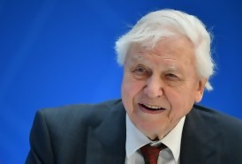 Portal 180 - No desperdicien el “capital” de la naturaleza, pidió David Attenborough