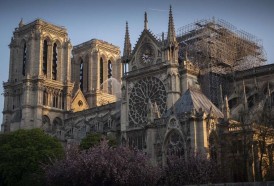 Portal 180 - Refuerzan los puntos vulnerables de Notre Dame tras el incendio
