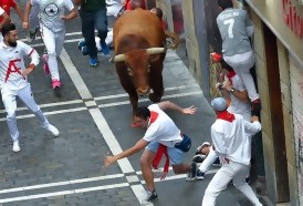 Portal 180 - Tres corneados en el octavo y último encierro de los Sanfermines