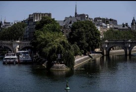 Portal 180 - ¿Pueden los árboles salvar a París del calentamiento global?