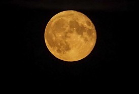 Portal 180 - “Creo que el rol fundamental de la Luna es la estabilidad del eje terrestre”