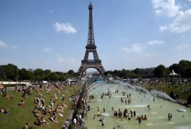 Portal 180 - El año 2019 acumula récords de temperatura en el mundo