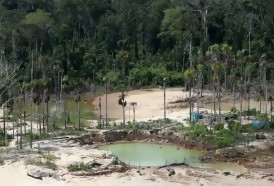 Portal 180 - Gobernadores de la Amazonía brasileña critican política de Bolsonaro