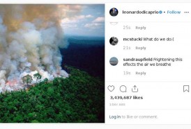 Portal 180 - Personalidades contribuyen a desinformar sobre la Amazonia