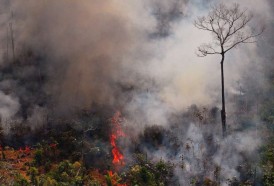 Portal 180 - Los incendios en Amazonía torpedean el acuerdo entre la UE y Mercosur